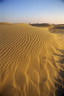 Sunset In The Desert Drucke: The Sam Sand Dunes at dusk