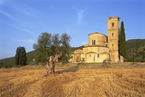Siena Province Italy Drucke: San Antimo abbey