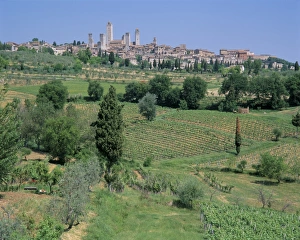 Tuscany Tourist Attractions Drucke: San Gimignano
