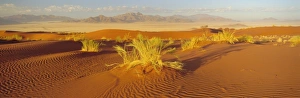 Namib Naukluft Park Tourism Drucke: Sand dunes and mountains