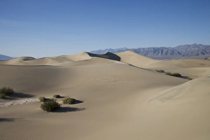 US Natural Wonders Drucke: Sand Dunes Point
