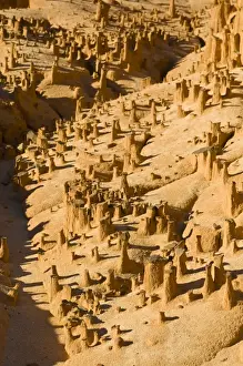 Madagascar Sandstone Formations Drucke: Sandstone formations, Ankarafantsika National Park, Madagascar, Africa