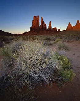 Arid Desert Scenery Drucke: Sandstone formations in evening light with scrub in foreground