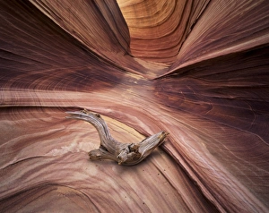 Desert Canyon Photography Drucke: Sandstone wave