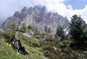 Dolomite Mountains Scenic Views Drucke: Sassolungo range