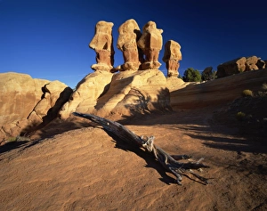 North America Outdoor Scenes Drucke: Sculptured rock formations