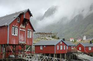 Exterior Building Photography Drucke: Seagulls nesting on a warehouse