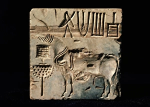 Indus Valley Civilization Drucke: Seals from Mohenjodaro