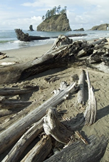 World Heritage Site USA Drucke: Second Beach