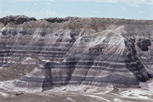 American Southwest Geology Drucke: Sedimentary rocks