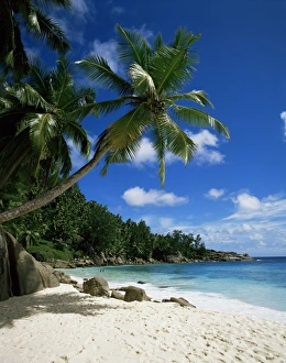 Seychelles Travel Photography Drucke: Seychelles