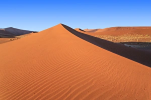 African Desert Scenes Drucke: Shadow and light among the sand dunes shaped by wind, Deadvlei, Sossusvlei, Namib Desert