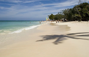 Palm Tree Beach Scene Drucke: The shadow of a palm tree on the beach and emerald sea