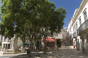 Portugal Street Scene Drucke: A shady square