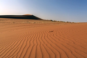 Die Formen von Sand werden ständig durch den Wind geformt und verändert. Deadvlei ist ein Teil des sogenannten Sossussvleis im Nami-Bergebiet