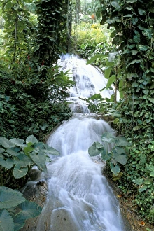 Central America Waterfalls Drucke: Shaw waterfalls