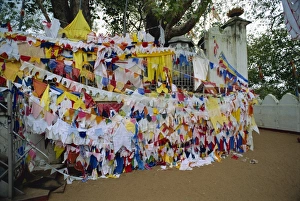 Sri Lanka UNESCO Site Drucke: Shrine beneath a bodhi tree
