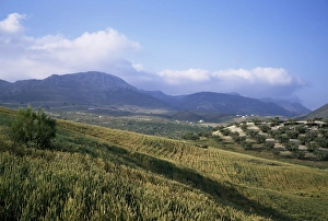 Colourful Mediterranean Scene Drucke: Sierra de Tejeda
