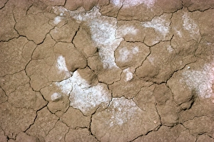 Cracked Earth Surface Drucke: Sign of drought