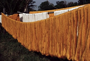 Thailand Travel Images Drucke: Silk drying