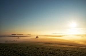 Misty Landscape Photography Drucke: Single tree in a stream of slowly moving layers of mist, Baden-Wurttemberg, Germany