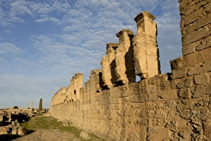 North Africa Heritage Sites Drucke: Skyrota, Cyrene