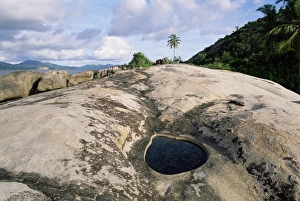 Mahe Island Landscape Drucke: Small pool on rock