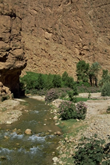 Travel Photography In Morocco Drucke: Small river below rock cliffs