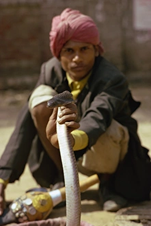 Indian Culture And Traditions Drucke: Snake charmer