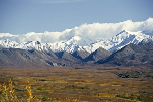 Natural World Scenic Views Drucke: Snowline on Alaska Range