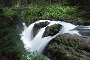 Washington State Tourism Drucke: Sol Duc Falls