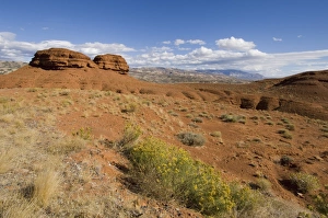 Arid Desert Landscapes USA Drucke: SP021986