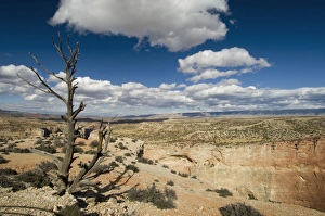 US Desert Landscape Photography Drucke: SP021994