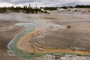 Norris Geyser Basin Drucke: SP022093