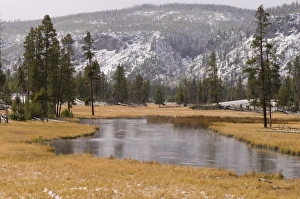 Yellowstone Scenic Views Drucke: SP022149