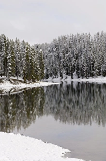 American Wilderness Landscape Drucke: SP022320