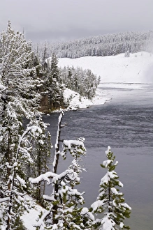 Yellowstone National Park Scenic Views Drucke: SP022331
