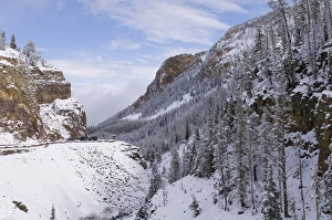 Cold Climate Landscapes Drucke: SP022417