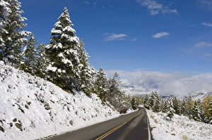 US National Parks Tour Drucke: SP022427