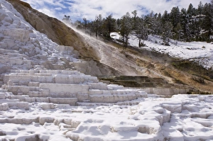 United States Nature Reserves Drucke: SP022446