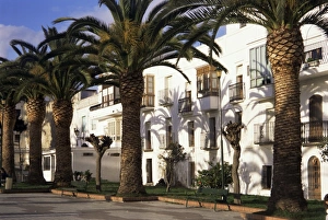 Andalucia Travel Destination Drucke: Spanish architecture and palm trees