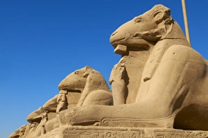 Rätselweg des Sphinxes Tempel von Amun in Karnak bei Theben Weltkulturerbe der UNESCO Ägypten Nordafrika Afrika
