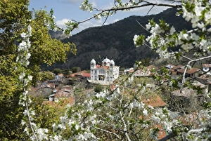 Blick auf den Frühling in Pedoulas im Hochtroodos-Gebirge Zypern Europa