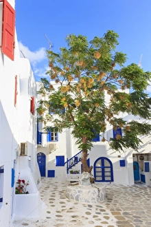 Cyclades Greek Islands Drucke: Square with blossoming tree, whitewashed buildings, blue sky, Mykonos Town, Mykonos
