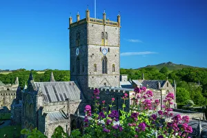 Wales Drucke: Die St.-David-Kathedrale in Pembrokeshirien (Pembroke)