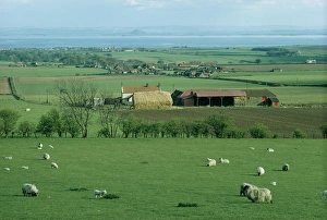 Firth Of Forth Scotland Drucke: St. Monage with Firth of Forth in the distance