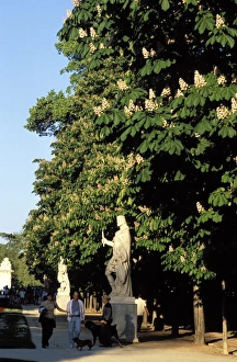 European Park Scenery Drucke: Statue and chestnut trees in the park