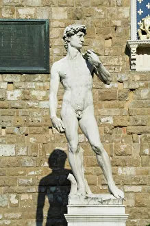 Drucke von Büste von David im Palazzo Vecchio auf der Piazza della Signoria in Florenz (Florenz), Toskana, Italien, Europa Florenz Drucke: Büste des David