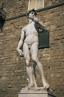 Michelangelo Statue Drucke: The statue of David by Michelangelo in the Piazza della