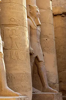 Ramesses II Statue Drucke: Statue of Ramesses ll, Luxor Temple